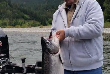 Catching Salmon